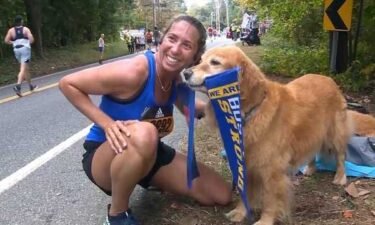 A therapy dog who has become a Boston Marathon fixture is recovering after undergoing a second surgery to remove a tumor. Spencer