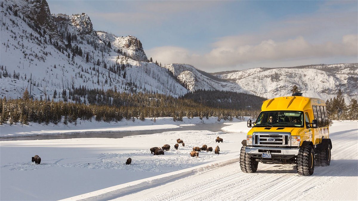 Snowcoach along the Madison River with bison.
