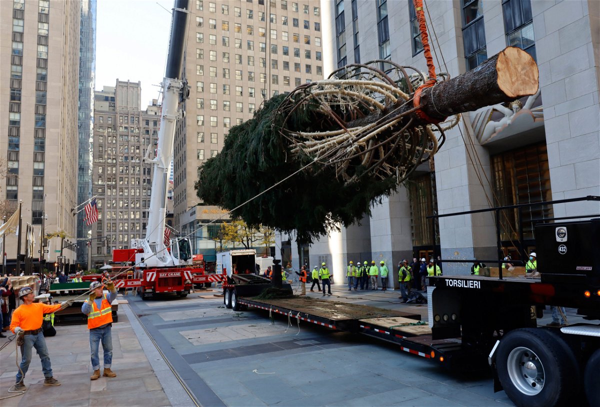 <i>Gary Hershorn/Corbis/Getty Images</i><br/>The 2021 tree is lifted off a truck after arriving at Rockefeller Center on November 13.