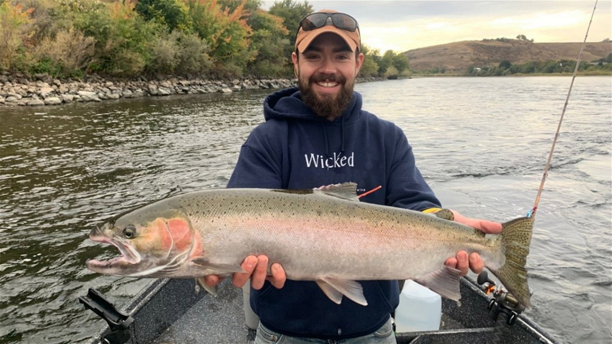 Graduate student Aaron Black with a tagged steelhead on the Clearwater River.