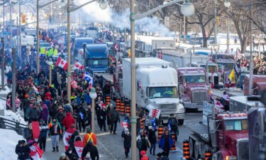 Hundreds of truckers drove their giant rigs into the Canadian capital Ottawa on Saturday as part of a self-titled "Freedom Convoy" to protest vaccine mandates required to cross the US border.