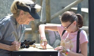 Idaho Falls Zoo seeks new adult volunteers