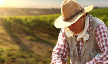 Farm worker