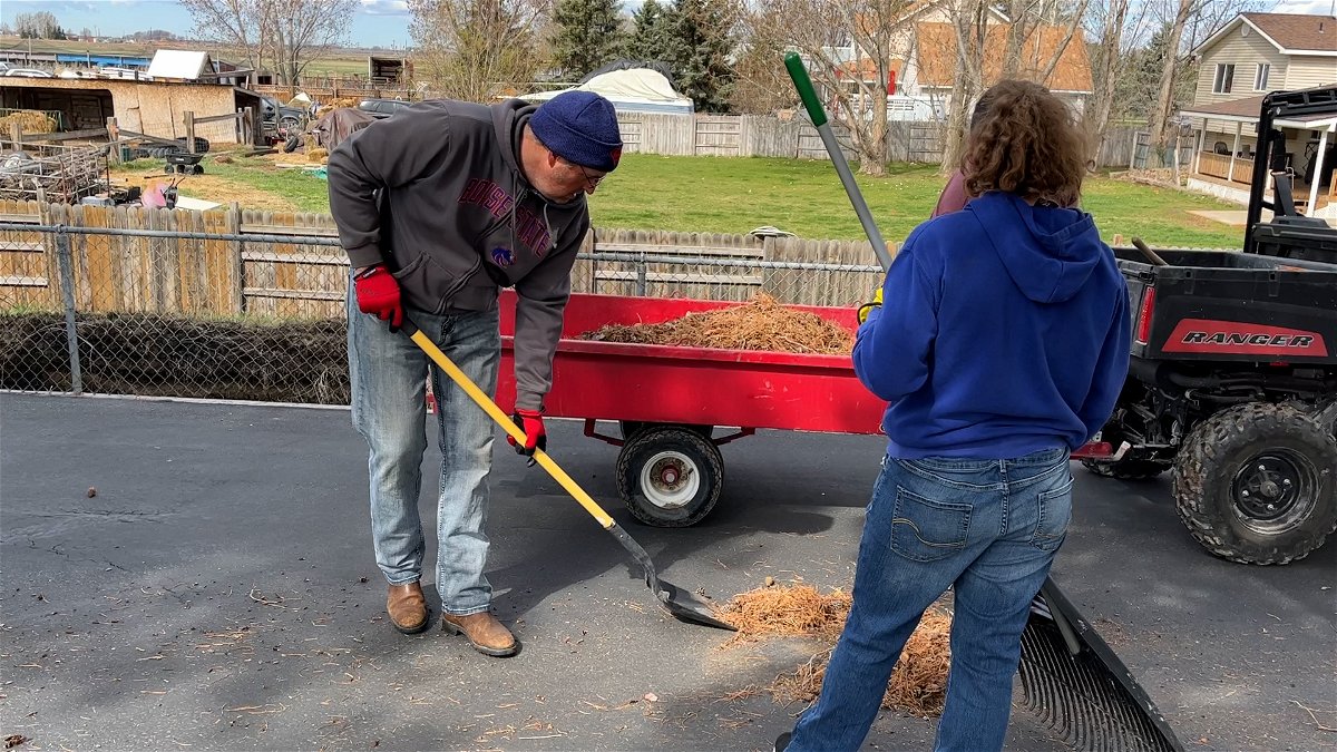 Shelly residents clean up East Idaho with Just Serve – Local News 8
