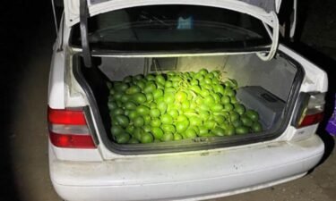 A Lompoc man faces charges of grand theft after authorities say he tried to steal a trunk full of avocados.