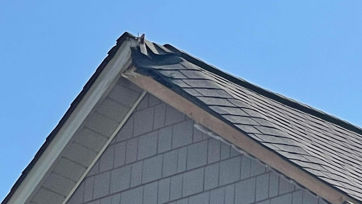 <i>Courtesy Albertina McClain</i><br/>Damage can be seen on the roof where the paratrooper landed.