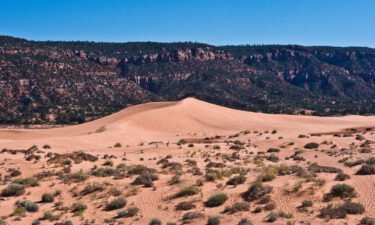 A 13-year-old died from injuries sustained when a sand dune at Coral Pink Sand Dunes State Park collapsed while he was digging a tunnel