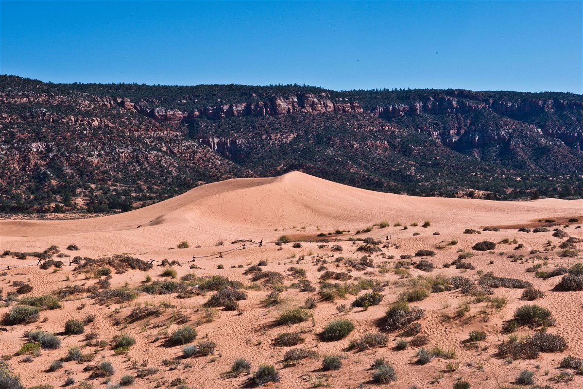 <i>Education Images/Universal Images Group/Getty Images</i><br/>A 13-year-old died from injuries sustained when a sand dune at Coral Pink Sand Dunes State Park collapsed while he was digging a tunnel