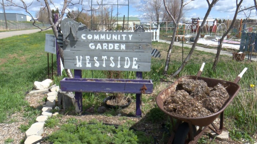 Idaho Falls Community Garden