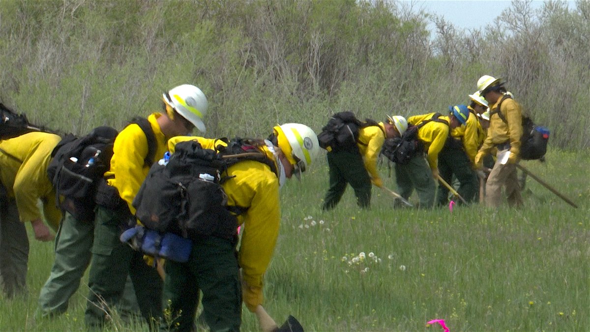 East Idaho wildland firefighter training – Local News 8