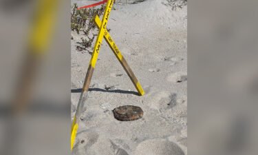 A suspected land mine was removed from a Florida beach