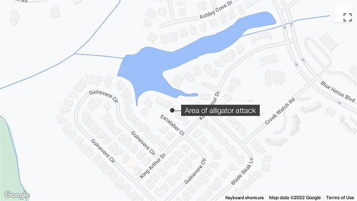 <i>Google</i><br/>A person was killed by an alligator in South Carolina after it dragged them into a retention pond.