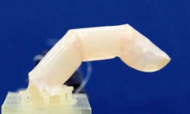 Scientists designed a humanoid robotic finger with living humanlike skin. A robotic finger built with living humanlike skin can bend and repel water.