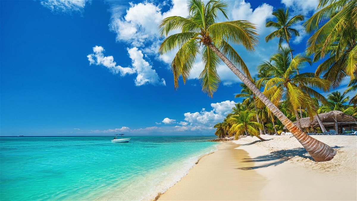 <i>ValentinValkov/Adobe Stock</i><br/>Tropical beach in Punta Cana