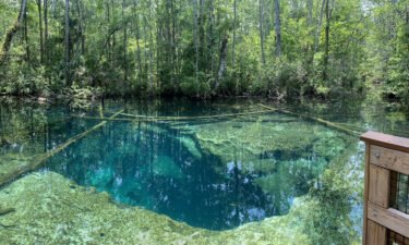 Authorities in Florida are investigating the deaths of two cave divers at a wildlife park. The Hernando County Sheriff's Office shared this photo of the area near the Buford Springs Cave where the cave divers died.
