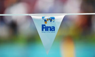 The International Swimming Federation (FINA) pictured here