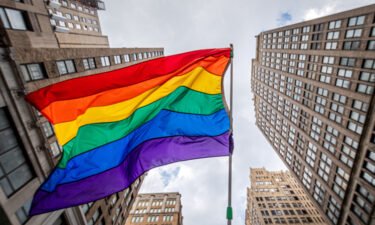 A library board in New York reversed its decision to remove all LGBTQ-related displays from its children's section in four of its libraries during Pride month after the removal was criticized.