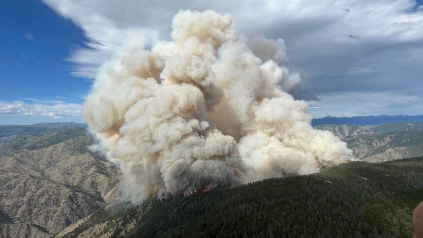 Moose Fire_U.S. Forest Service - Salmon-Challis National Forest