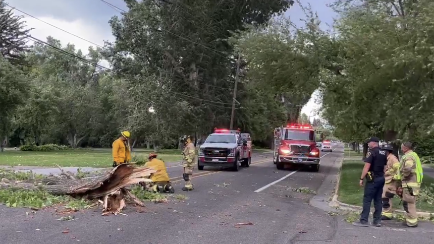 Power outage in Idaho Falls_high winds knock over tree_July 13_1