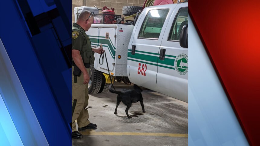 WHP K-9 trained to find fentanyl