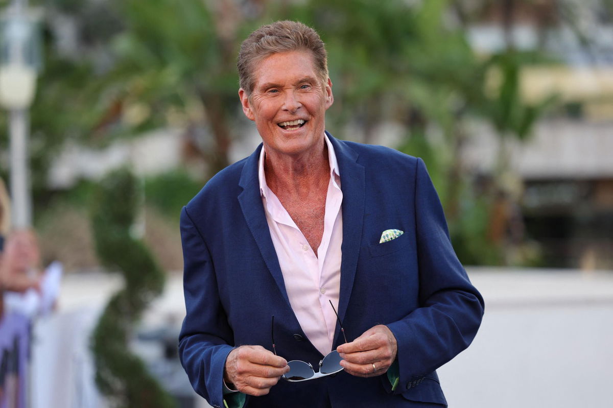 David Hasselhoff's 70th birthday turned into a 'Baywatch' reunion ...