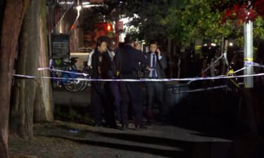 A 20-year-old woman pushing a baby in a stroller was shot in the head at close range and killed Wednesday night on Manhattan's Upper East Side.