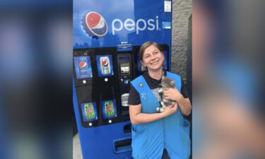 Lindsay Russell heard meows coming from a vending machine at the Walmart store where she works.