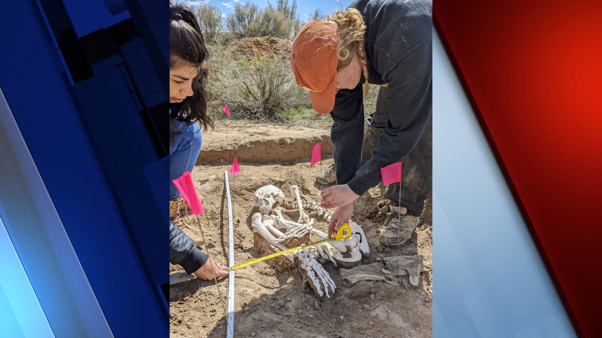 Students  from ANTH 4434-5534, Forensic Anthropology and Archaeology, Spring 2022 performing a mock burial excavation on campus. In this course students learn how to survey, identify clandestine burials, excavate, document, and record burials.