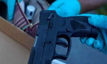 The Indiana Crime Gun Task Force says it's pulled 369 illegal guns off the streets and made 397 arrests in a year.