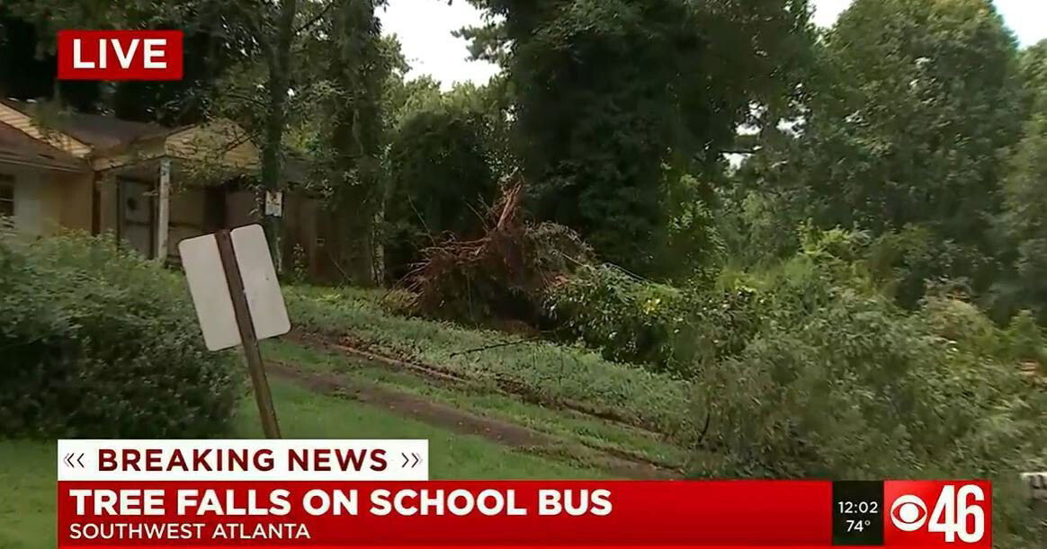 <i>WGCL</i><br/>Six children and the driver were on the school bus at the time of the incident. This image shows the fallen tree after the bus was removed.