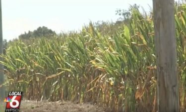 Heat and lack of rain are impacting crops throughout the country.