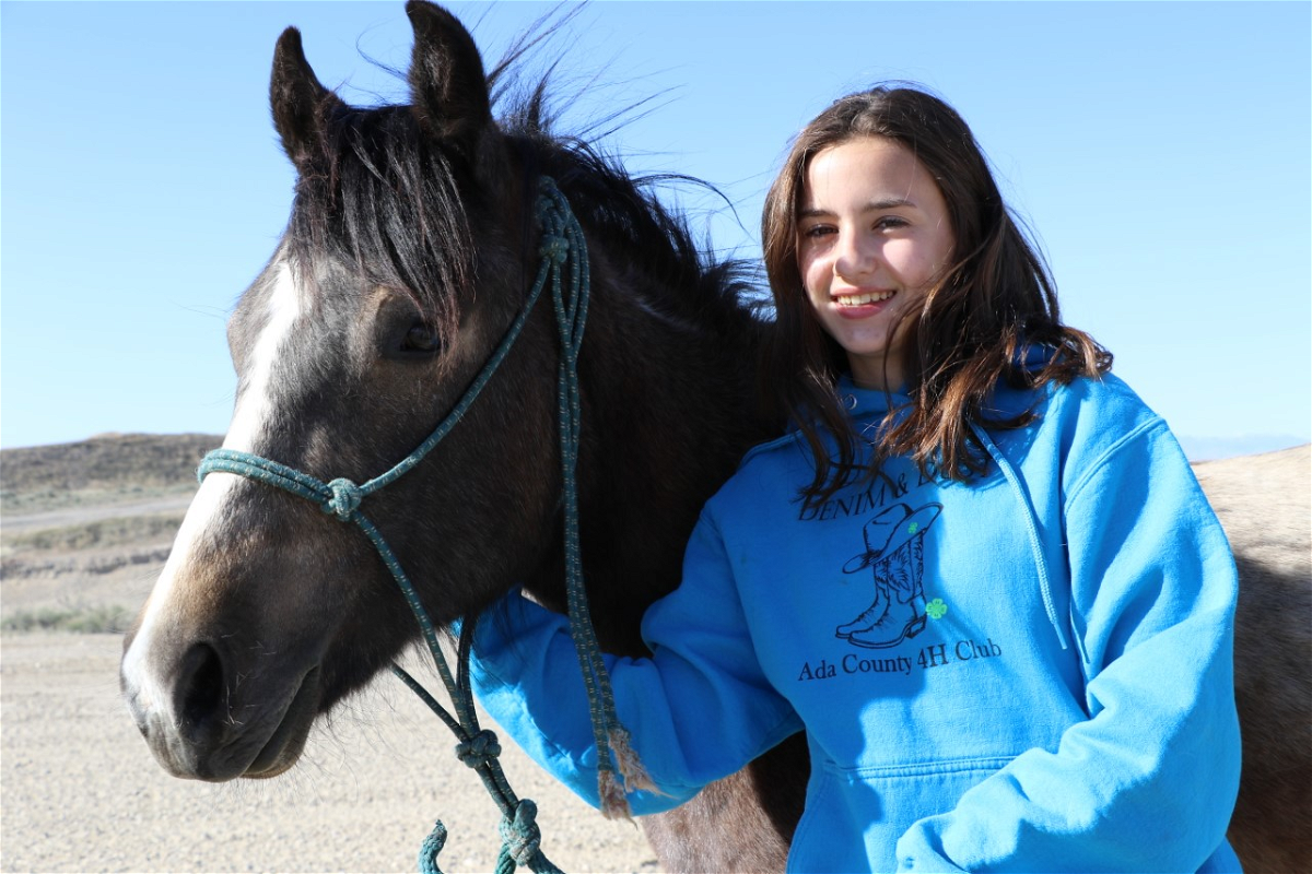 The BLM Idaho Wild Horse and Burro Program has partnered with University of Idaho 4-H Extension to place wild horses gathered from overpopulated rangelands and handled by 4-H members into private care. 