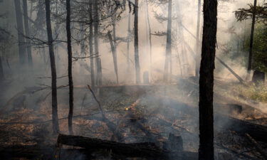 A forest fire is pictured here outside the village of Byas-Kyue in Siberia in 2021.