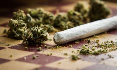 Young adults were using marijuana and hallucinogens at record high rates in 2021