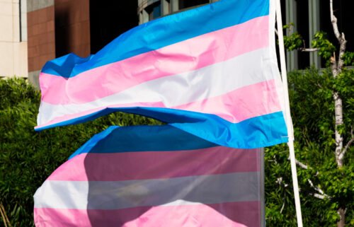 Trans pride flags flutter in the wind at a gathering to celebrate  International Transgender Day of Visibility. A federal appeals court said on August 16 that the Americans with Disabilities Act covers individuals with "gender dysphoria."