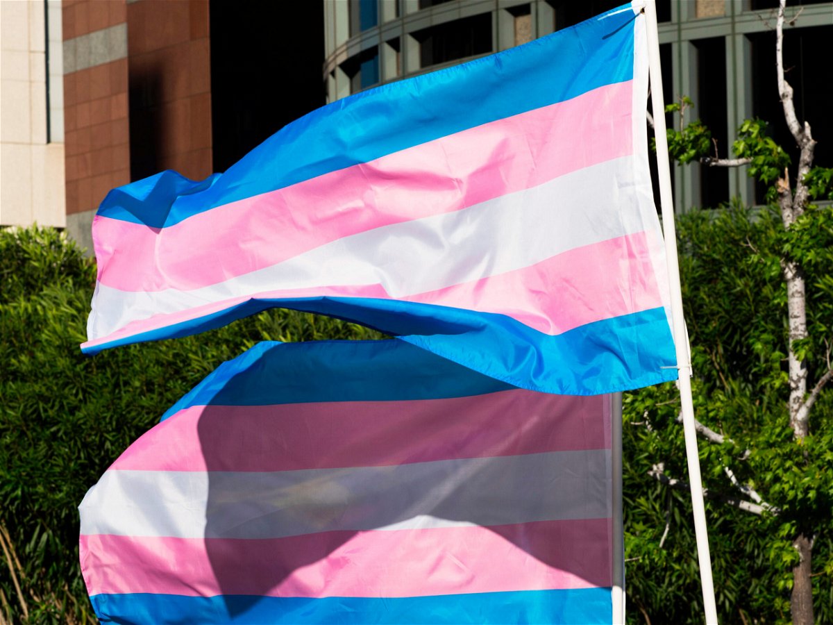 <i>ROBYN BECK/AFP/Getty Images</i><br/>Trans pride flags flutter in the wind at a gathering to celebrate  International Transgender Day of Visibility. A federal appeals court said on August 16 that the Americans with Disabilities Act covers individuals with 