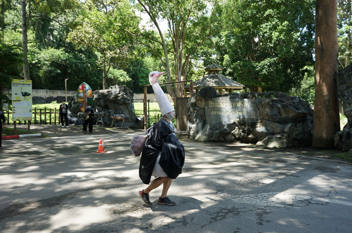 <i>Chiang Mai Zoo</i><br/>Chiang Mai Zoo in Thailand holding a practice drill on responding to escaped animals -- which they did by putting a staff member in an ostrich costume