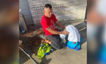 Mike Trinh's 19-year old daughter captured this photo of her father wrangling an alligator after it turned up on their doorstep.