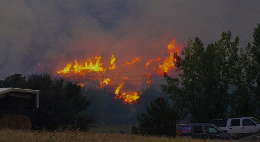 Wildfire near McCammon, Idaho