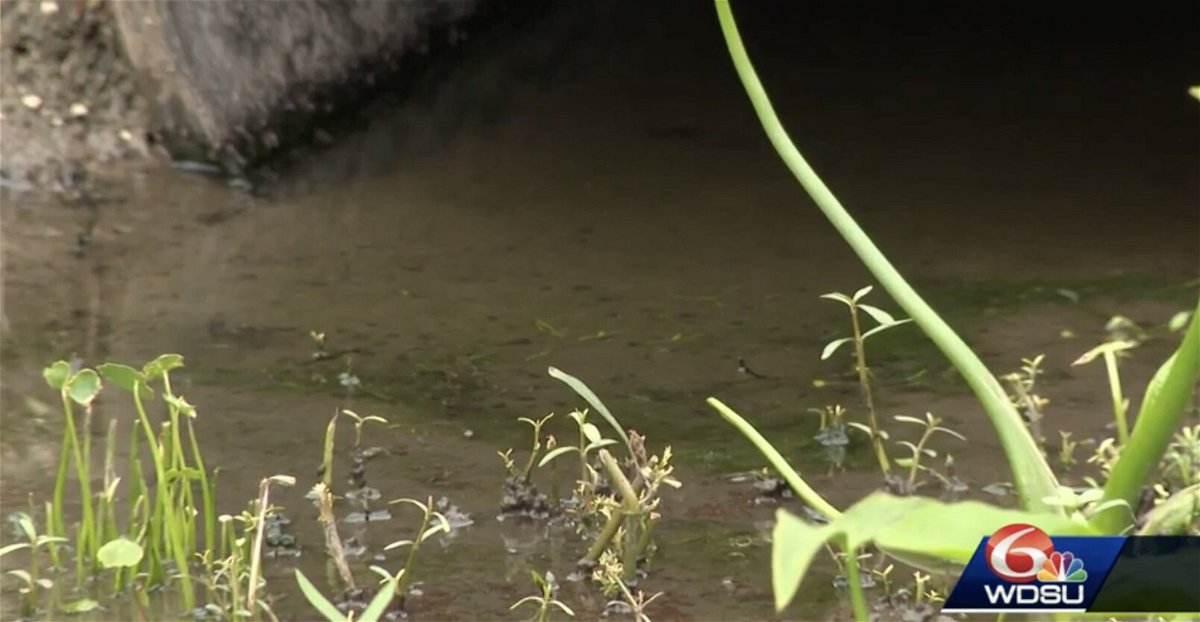 <i>WDSU</i><br/>Raw sewage near homes could attract mosquitoes that carry the West Nile virus.