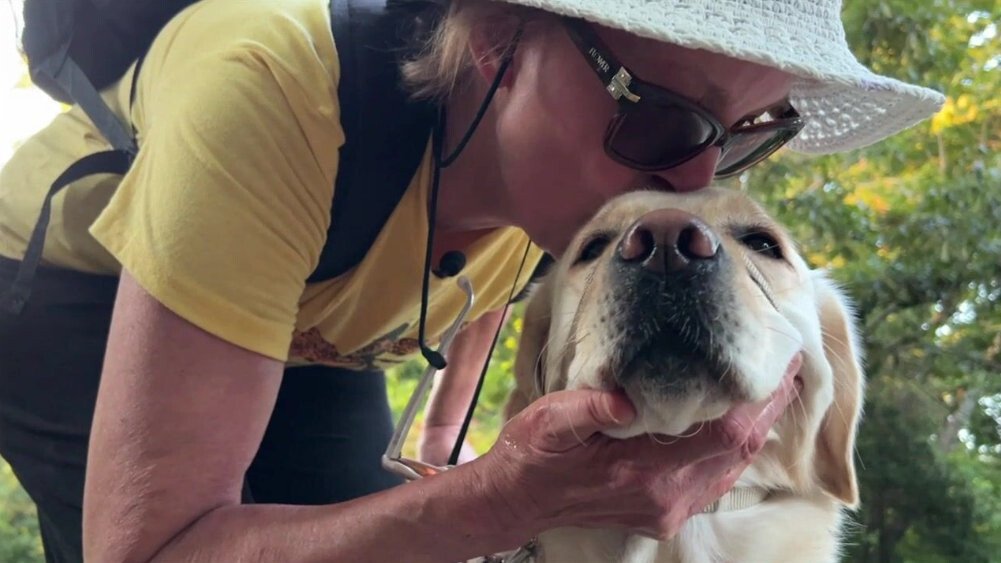 <i>WLOS</i><br/>Karen Leonetti walks with her guide dog