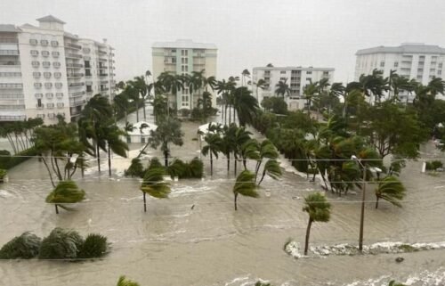 Pictured here is Gulfshore Boulevard.