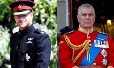 Prince Harry wore a uniform during his 2018 wedding. Prince Andrew was seen in his military dress during the 2018 Trooping of Colour ceremony.