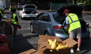 The Biden White House seeks to tackle food insecurity at the first hunger conference since 1969. Volunteers are pictured here  loading bags of food into cars at a food distribution event for the needy in Orlando