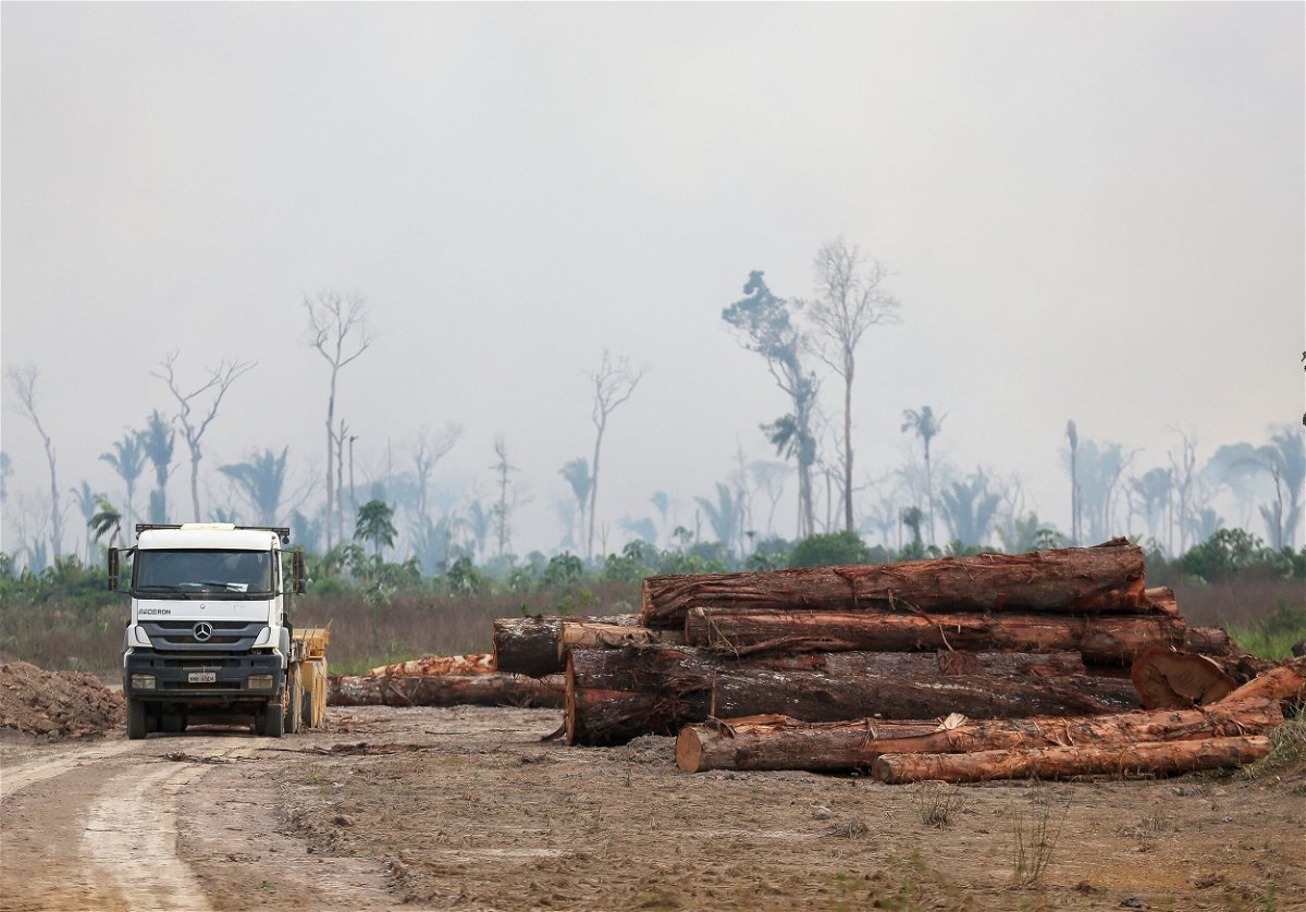 <i>Michael Dantas/AFP/Getty Images</i><br/>A truck drives past a pile of illegally cut down logs in the forest in Humaita