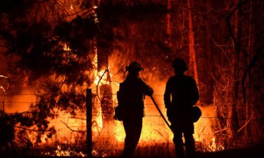 Firefighters spray water on trees during the Dixie Fire