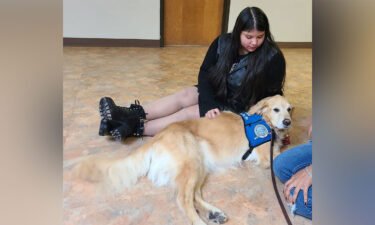 A student with comfort dog Abner at Uvalde High School on the first day back to school is pictured here.