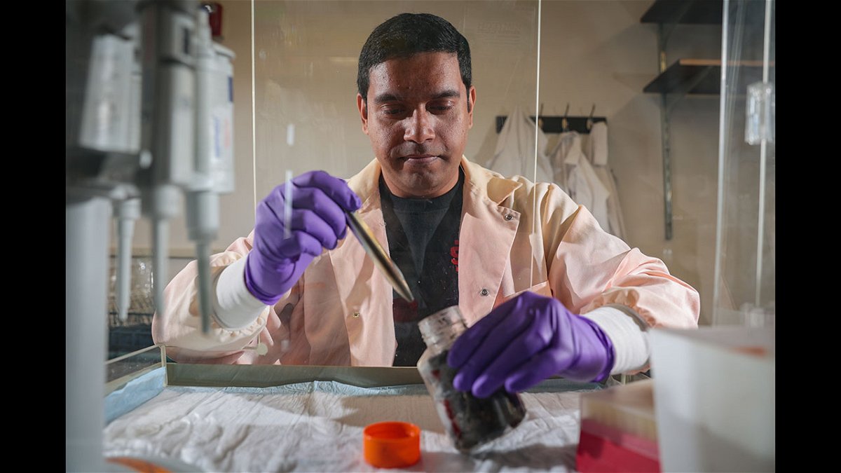 Anirban Chakraborty studies a sample of deep-sea sediment in his lab at Idaho State University's Pocatello campus on Wednesday, August 03, 2022. The deep-sea sediments contain Earth's hardiest organisms - known as extremophiles - these organisms may help shine a light on to where life may be found in outer space.