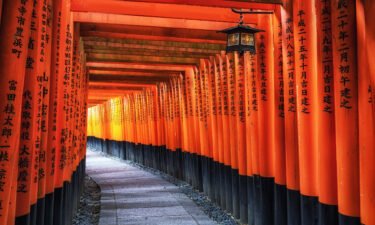 Japan is set to fully reopen on October 11. Pictured here is the Fushimi Inari Shrine in Japan.