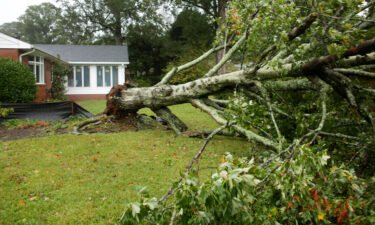 A tree is seen down in the Thoroughgood neighborhood of Virginia Beach during severe weather on Friday